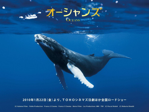 360630 (a): :1600x1200